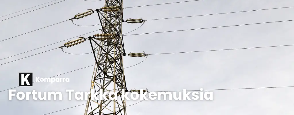 Fortum Tarkka kokemuksia.